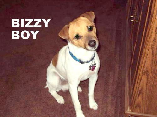 BizzyBoy (Ritzy)