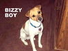 BizzyBoy (Ritzy)