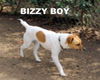BizzyBoy (Ritzy)