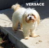 Versace (Ritzy)