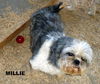 Milly (RItzy)