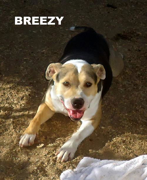 Breezy