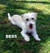 Bess and Brie