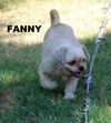 Fanny