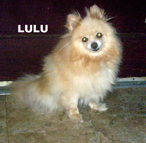 Lulu (Ritzy)