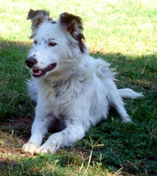Fresca (Ritzy)