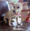 Tinkerbell