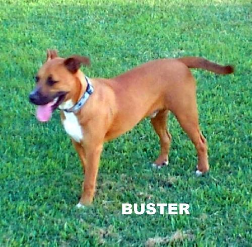 Buster