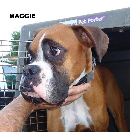 Maggie