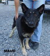 Maud