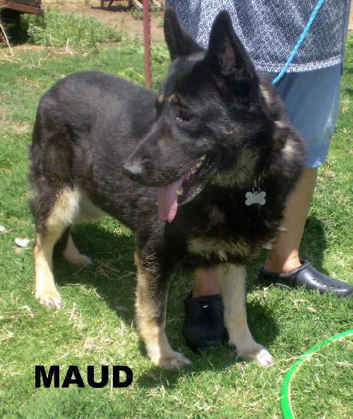 Maud