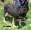 Maud