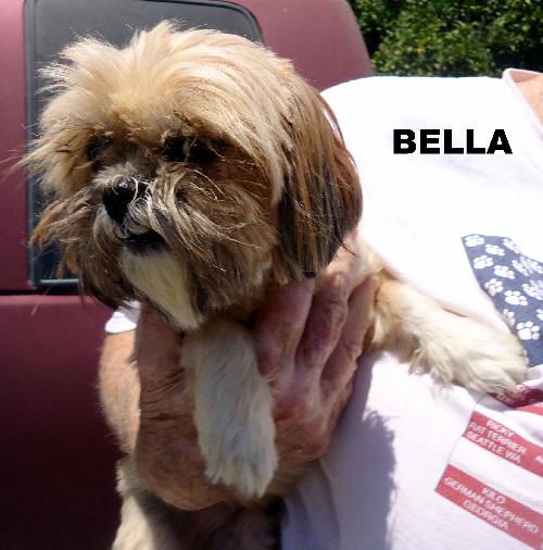 Bella (Ritzy)