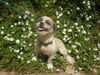 Fritz (Ritzy)