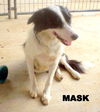 Mask
