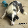 Mask