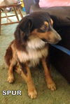 Milo (Ritzy)