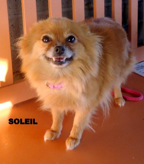 Soleil (Ritzy)