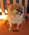 Soleil (Ritzy)