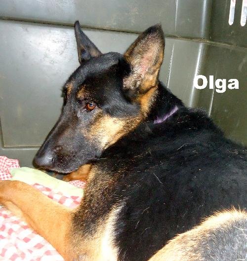 Olga (Ritzy)