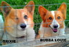 Bubba Louie and Trixie (Ritzy)