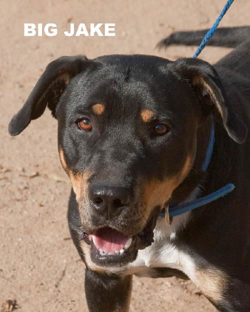 Big Jake