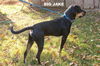 Big Jake