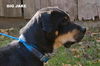 Big Jake