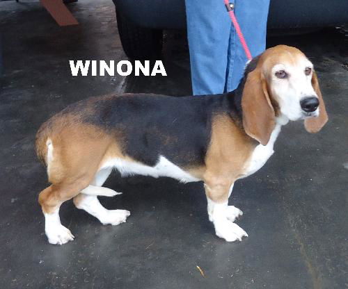 Winona (Ritzy)