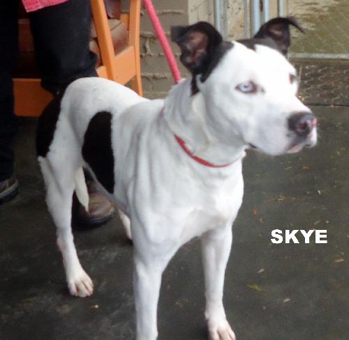 Skye