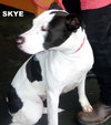 Skye