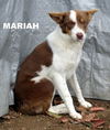 Mariah