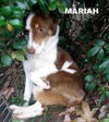 Mariah