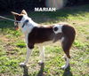 Mariah