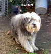 Elton (Ritzy)