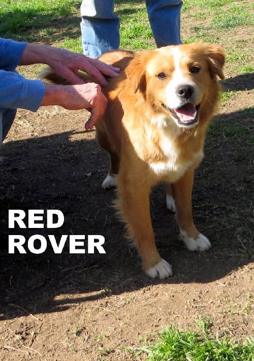 Red Rover