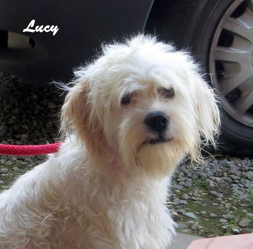 Lucy (Ritzy)