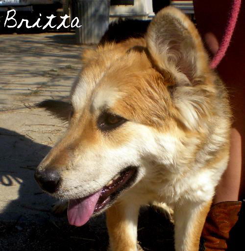 Britta