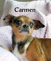 Carmen ( GrandPaws)