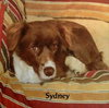 Sydney