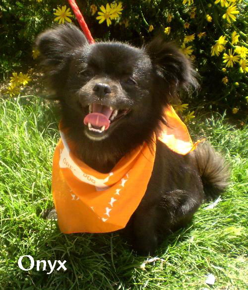 Onyx