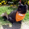 Onyx