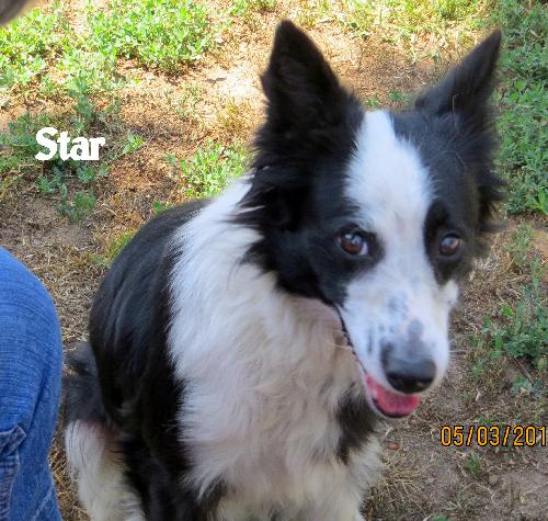 Star (Ritzy)