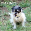 Clarence