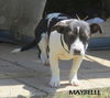 Maybelle