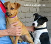 Maybelle
