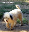 Sugarland (Ritzy)