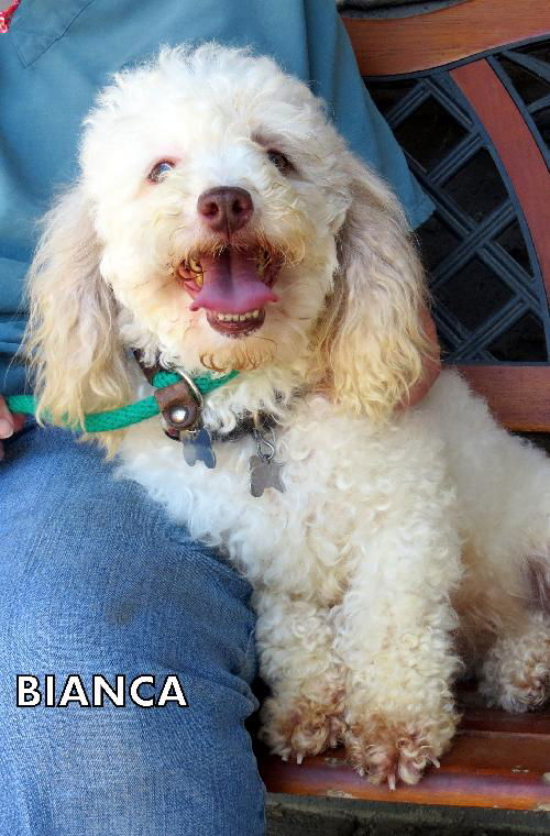 Bianca (Ritzy)