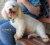 Bianca (Ritzy)