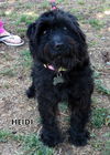 Heidi (Ritzy)